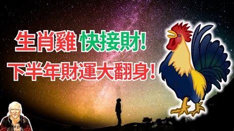 生肖雞顏色|生肖雞: 性格，愛情，2024運勢，生肖1993，2005，2017